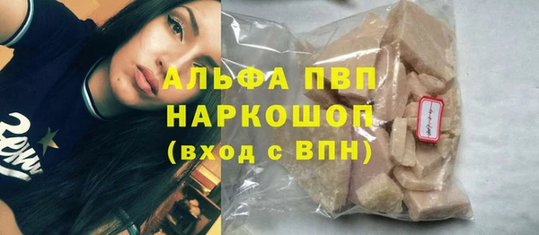 стаф Богданович