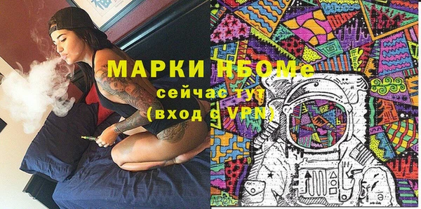 стаф Богданович