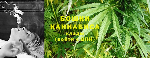 apvp Богородск