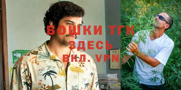 стаф Богданович