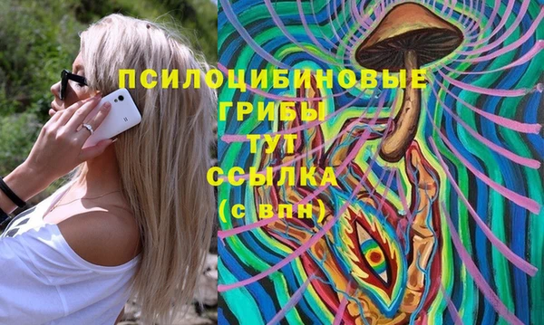 стаф Богданович