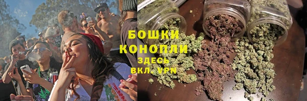 стаф Богданович