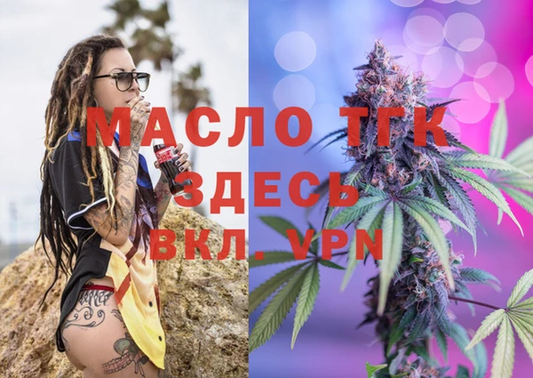 стаф Богданович