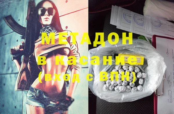 стаф Богданович