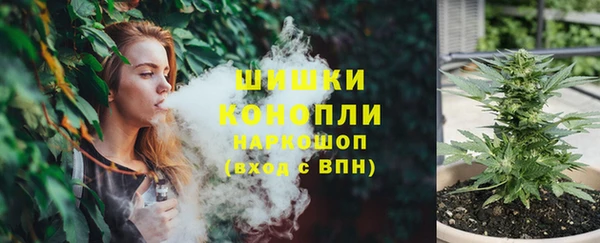 стаф Богданович