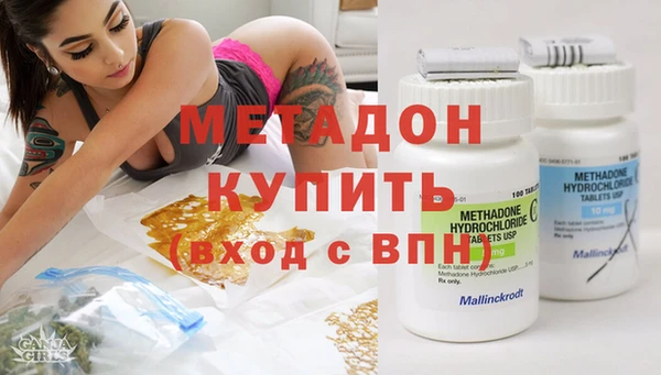 стаф Богданович