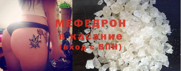 стаф Богданович